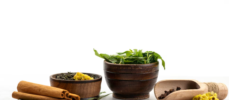 Ayurveda and Liver Health: A Natural Cure or a Hidden Risk?